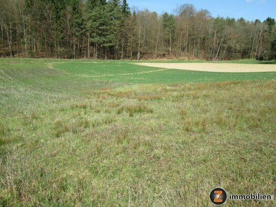 Jennersdorf: Zentrumsnaher Bauplatz in sonniger Ruhelage