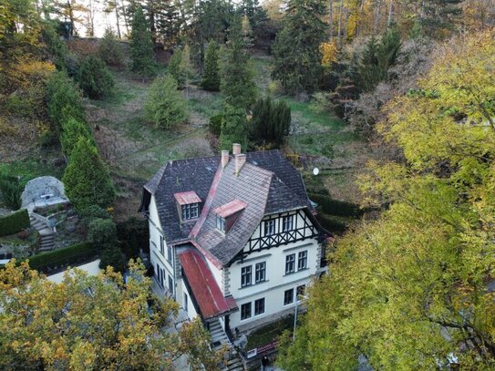 Außergewöhnliche Villa in absolut ruhiger Waldrandlage I Rund um Natur pur nahe Lainzer Tiergarten I Ausbauen+sanieren