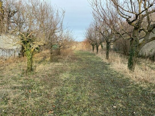 Baugrundstück in gefragter Lage in Weiden am See Ortszentrum