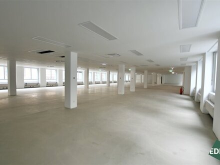 Ideal als Showroom - Erstbezug nach Sanierung in Zentrumslage
