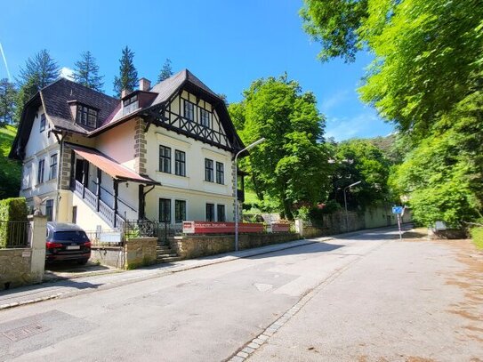 Außergewöhnliche Villa in absolut ruhiger Waldrandlage I Rund um Natur pur nahe Lainzer Tiergarten I Ausbauen+sanieren