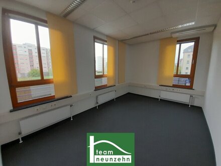Großes Büro mit Wintergarten und Terrasse auf 2 Ebenen nahe Traisenpark! JETZT ANFRAGEN. - WOHNTRAUM