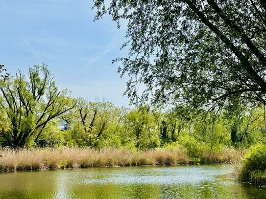 Wunderschöner Eigengrund - direkt am Mühlwasser - ganzjährig wohnen - 1120 Wien