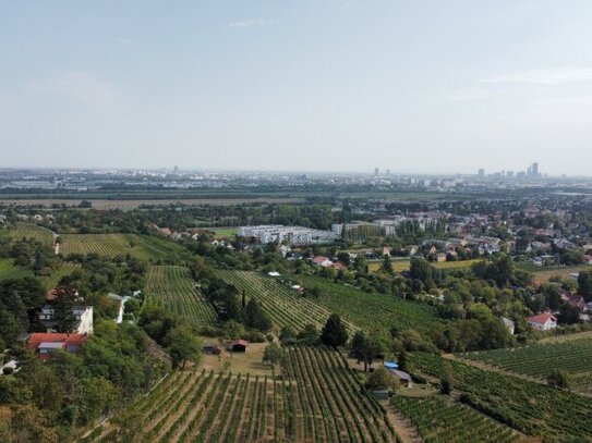 Perfekter Eigengrund für ein absolutes Traumhäuschen! Zurückziehen und Wohlfühlen an der Wiener Stadtgrenze!