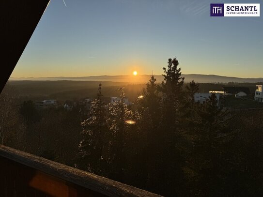 LUXUS mit AUSBLICK auf STADT und BERGE! 284 m² Einfamilienhaus in Toplage am heiß begehrten Gedersberg!