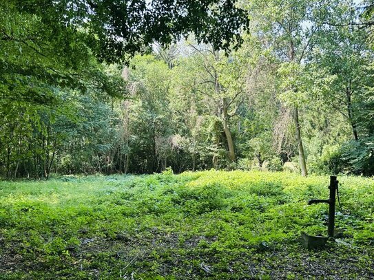 Schönes teilbares Baugrundstück im Grünen