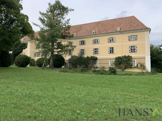 SCHLOSSWOHNUNG +++ idyllischer Parkblick, Pferdeparadies, traumhafte Umgebung, uvm. ......