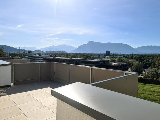 BEZUGSFERTIG - Ansprechende 4 Zimmer Erstbezugs-Dachgeschoss-Wohnung mit großer Terrasse in Bergheim!