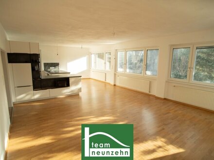 ****WOHNTRAUM**** Sonnige, großzügige 180m² Loggia-Wohnung!!!. - WOHNTRAUM