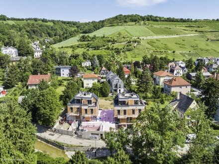 Exklusive Doppelvilla mit 2 Doppelhaushälften Top Sauvignon Blanc und Top Weißburgunder - Wohnen, Arbeiten und Vermiete…