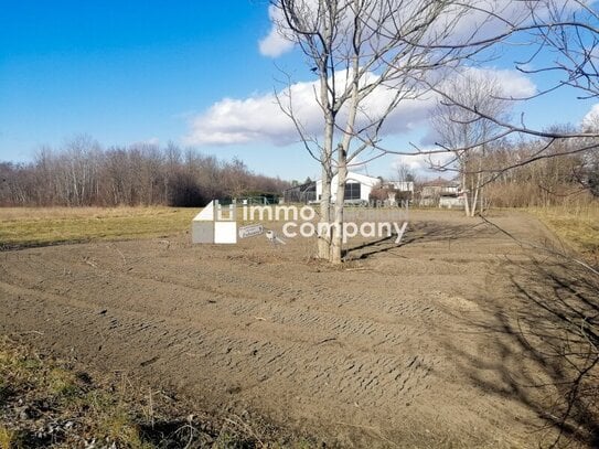 Traumhaftes Baugrundstück in Loimersdorf – 1079 m² für Ihre Zukunft!