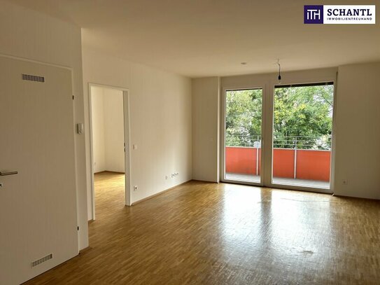 Eine schöne, helle Mietwohnung ideal geeignet für eine Einzelperson, oder auch für zu Zweit! Balkon mit Grünblick und s…