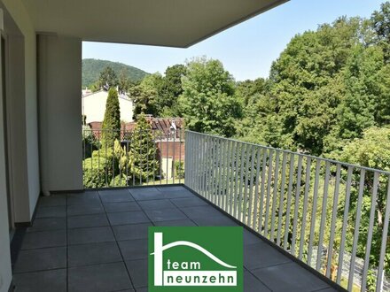 Traumhafte Wohnung in absoluter Hofruhelage mit Grünblick, Balkon und Küche direkt beim Wienerwald!