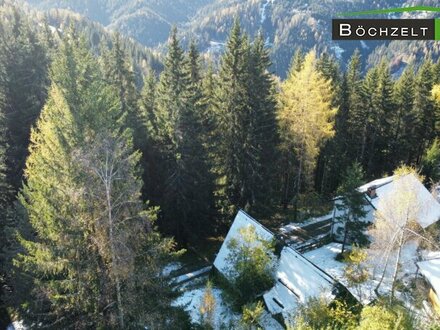 Ferienhaus am Gaberl auf 1.270 Metern Seehöhe für Naturliebhaber