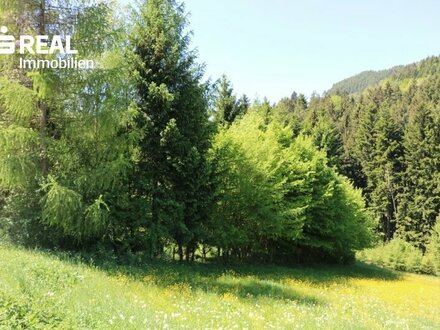 Aufgeschlossener Baugrund - ohne Bauzwang!