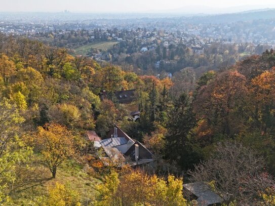 Ehemaliges Weinhauerhaus in einzigartiger Sieveringer Lage wartet auf Revitalisierung!