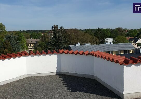 NEUER PREIS! Penthouse (auch Office möglich) mit 180 m² Wohnfläche, zwei großen Terrassen und offenen Kamin!