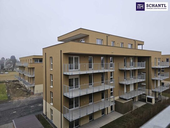 ++ PREISHAMMER++PROVISIONSFREI++ERSTBEZUG++ BALKONWOHNUNG mit ca.64,2 m² ++3ZIMMER++FINANZIERUNGSBERATUNG++