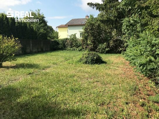 Großes Grundstück mit Altbestand im Herzen von Stockerau