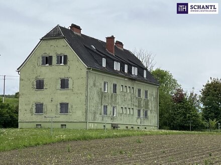 Förderungs - & Sanierungsprofis! Zwei sanierungsbedürftige Zinshäuser mit Potenzial in 8542 St. Martin im Sulmtal!