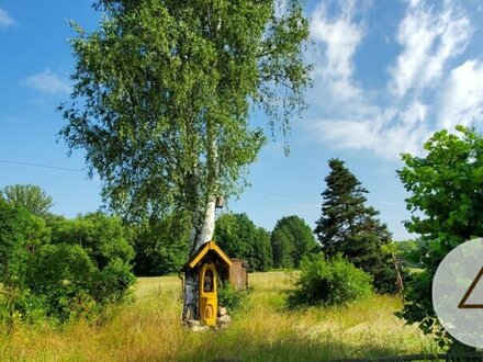 Landhaus Naturschutzgebiet - unverbaubar! Neuer Preis!