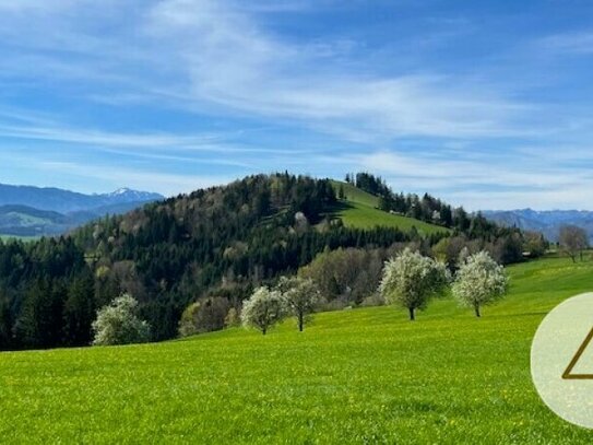 Apfelbaumblüte vor Ihrem Haus im schönen Mostviertel - Baugründe in wunderschöner, sonniger Lage!