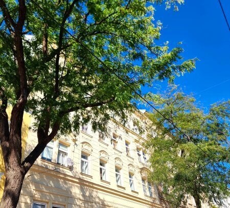 Entzückende Altbauwohnung - Klein aber OHO! Hofseitige Terrasse + Schönes Altbauhaus + Tolle Infrastruktur und Anbindun…