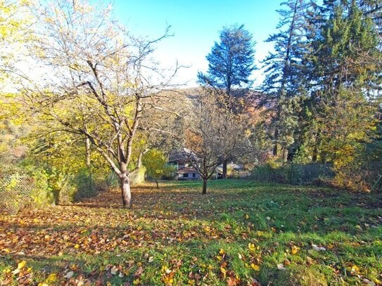 Für Naturliebhaber und Bergfexe! Liegenschaft im Augustinerwald mit Traumausblick