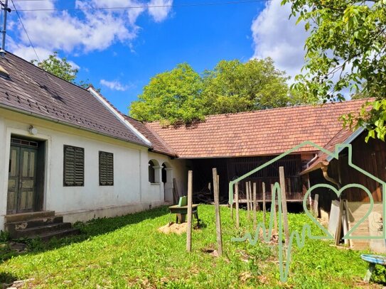 Burgenländischer Streckhof mit viel Potential - 1679 m² Grundstück BW in Kemeten!