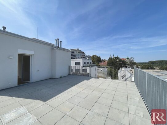 Sonnige DG-Wohnung - 3 Zimmer - große Terrasse