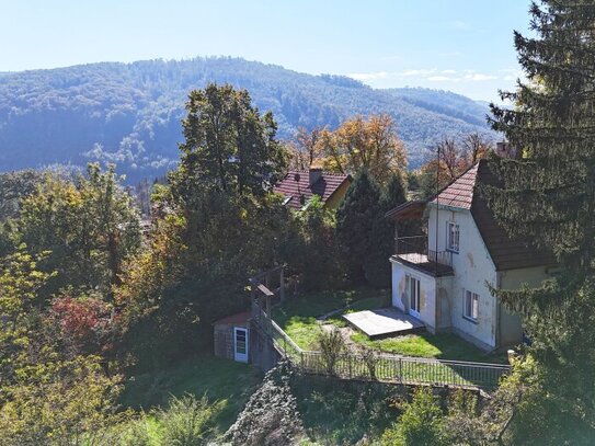 Sonniger Osthang mit Althaus in erhöhter, ruhiger Traumlage am Waldrand