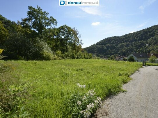 Riesiges Baugrundstück in Sonnenlage in Senftenberg bei Krems an der Donau - bereits aufgeschlossen