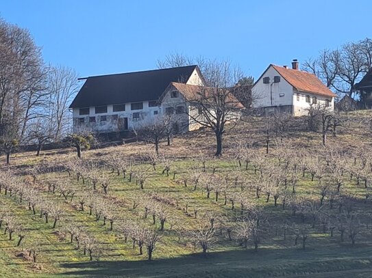 Altes Bauerngehöft in erhöhter Ruhelage mit unverbaubarer Freisicht