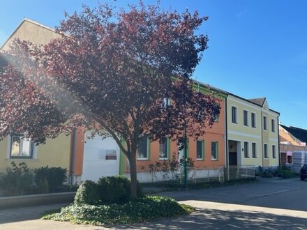 Wärmepumpenheizung! Dreifachverglaste Fenster - großzügiges Zweifamilienhaus RENOVIERT! Lagerraum, Garage, Speicher!