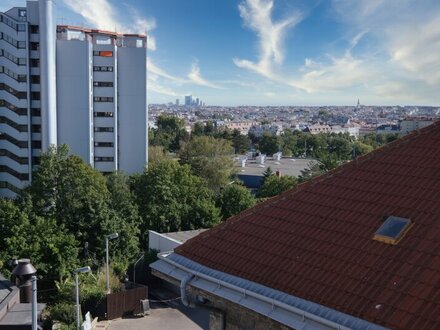 18. COTTAGE - generalsanierte Dachterrassenwohnung, 4 Zimmer und 104 m² Terrasse mit Panorama-Fernblick