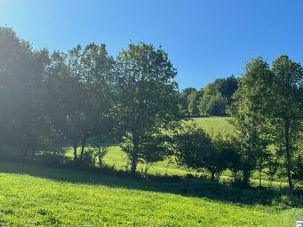 Sonnenlage! Baugrund für ihr Eigenheim in wunderschöner Lage im Mostviertel!