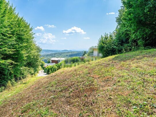 Erhöht gelegenes 911 m² Baugrundstück samt 5.000 m² Eigenwald in Stattegg