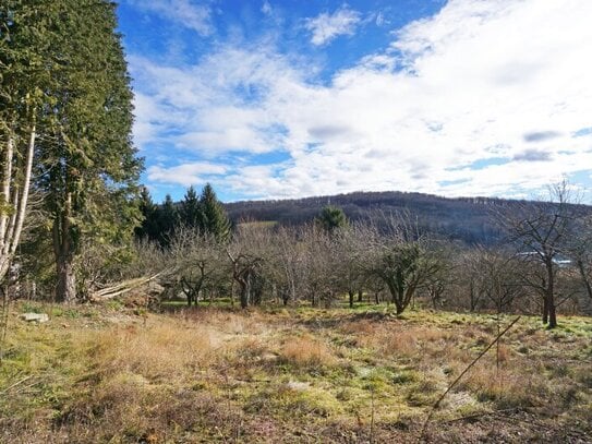 Grundstück mit Panoramablick an der Wiener Stadtgrenze - teilbar mit Bauträger-Eignung!