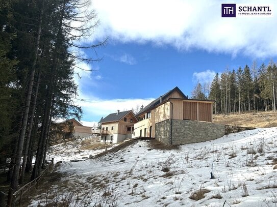 Exklusives Baugrundstück in 8742 St. Anna bei Obdach – Ihr privates Naturidyll in unmittelbarer Nähe zu Top-Skigebieten!