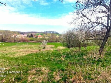 Baugrundstück 7300m² Bezirk Neusiedl