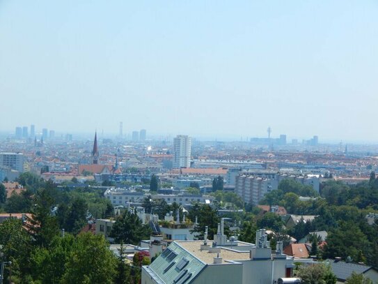 Exklusive Dachterrassenwohnung mit einzigartigen Blick über Wien in Ruhelage