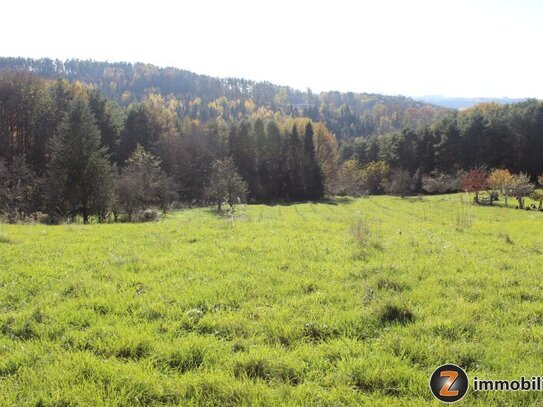 Litzelsdorf: Grundstücke in ruhiger Aussichtslage