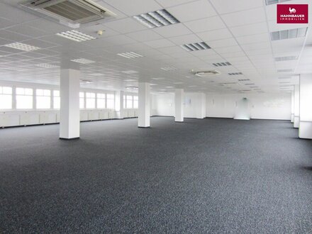 Lagerhalle 1200 m2 + Büro 400 m2 Kombination Süden Wien