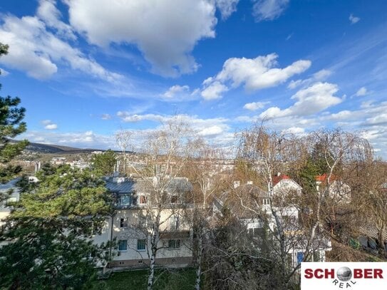 Dachgeschosswohnung mit Ausblick