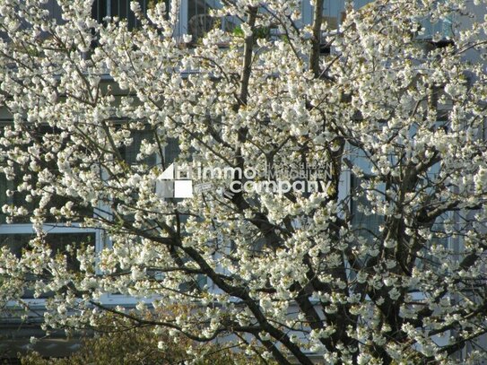 Schöne und große Wohnung. - Sonnig, tolle Aussicht !