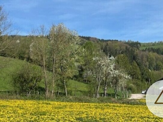 Apfelblüte im Mostviertel - Baugründe in wunderschöner, sonniger Lage!