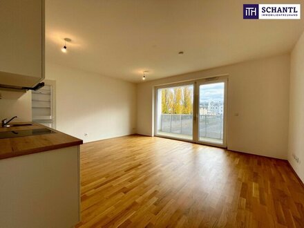 Hier ist für jeden die passende Wohnung dabei - Traumprojekt in Wiener Neustadt! Verlieben Sie sich jeden Tag auf´s Neu…