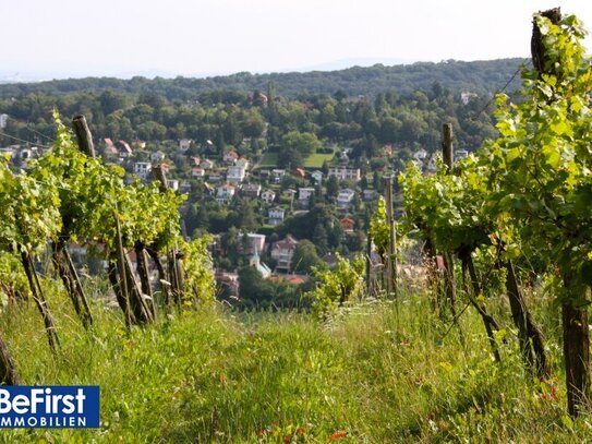 Prachtvolles Einfamilienhaus im Wiener Wald nächst Salmannsdorf/Neustift am Walde - Neubau