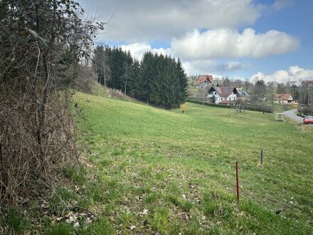 Große, sonnige landwirtschaftliche Fläche