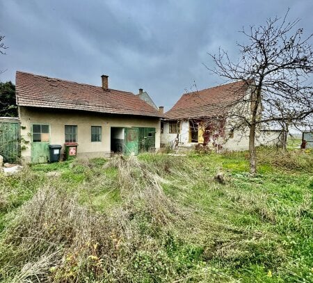 BAUGRUNDSTÜCK MIT EINEM SANIERUNGSBEDÜRFTIGEN HAUS IN LASSEE